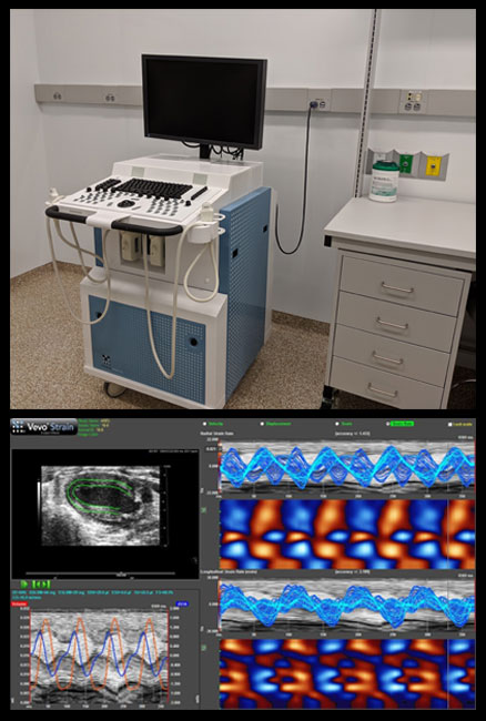 Fuji scanner and examples of scans