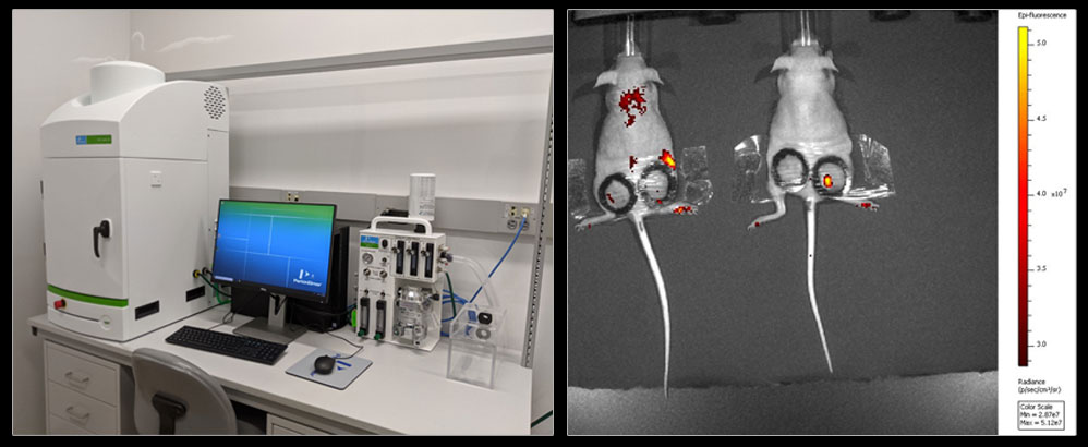 PerkinElmer scanner with sample scans